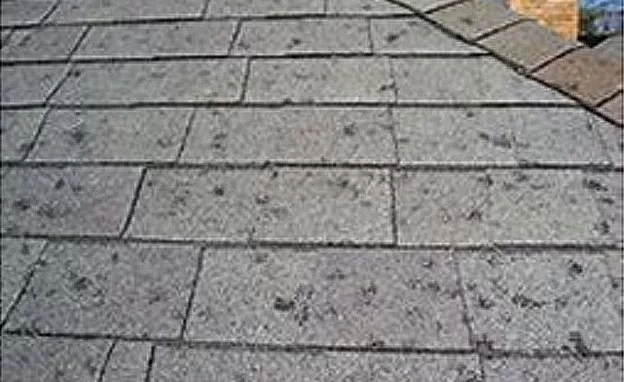 Hail Impact Analysis and Collateral Damage Inspection